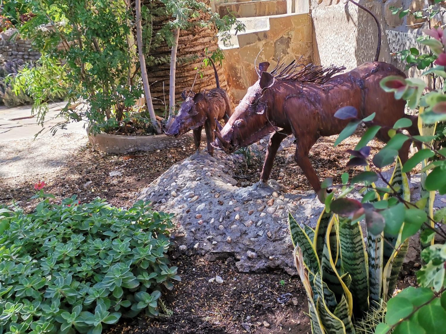 Guesthouse Terra Africa Windhoek Dış mekan fotoğraf