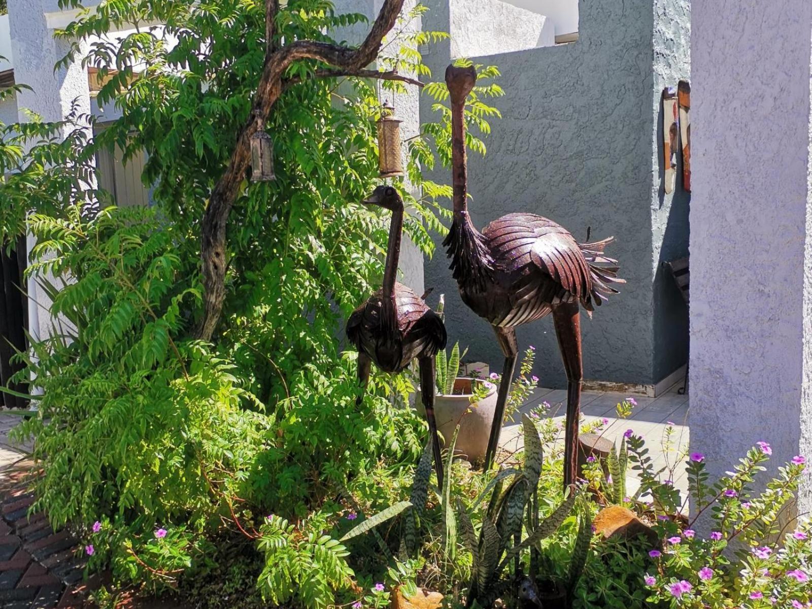 Guesthouse Terra Africa Windhoek Dış mekan fotoğraf